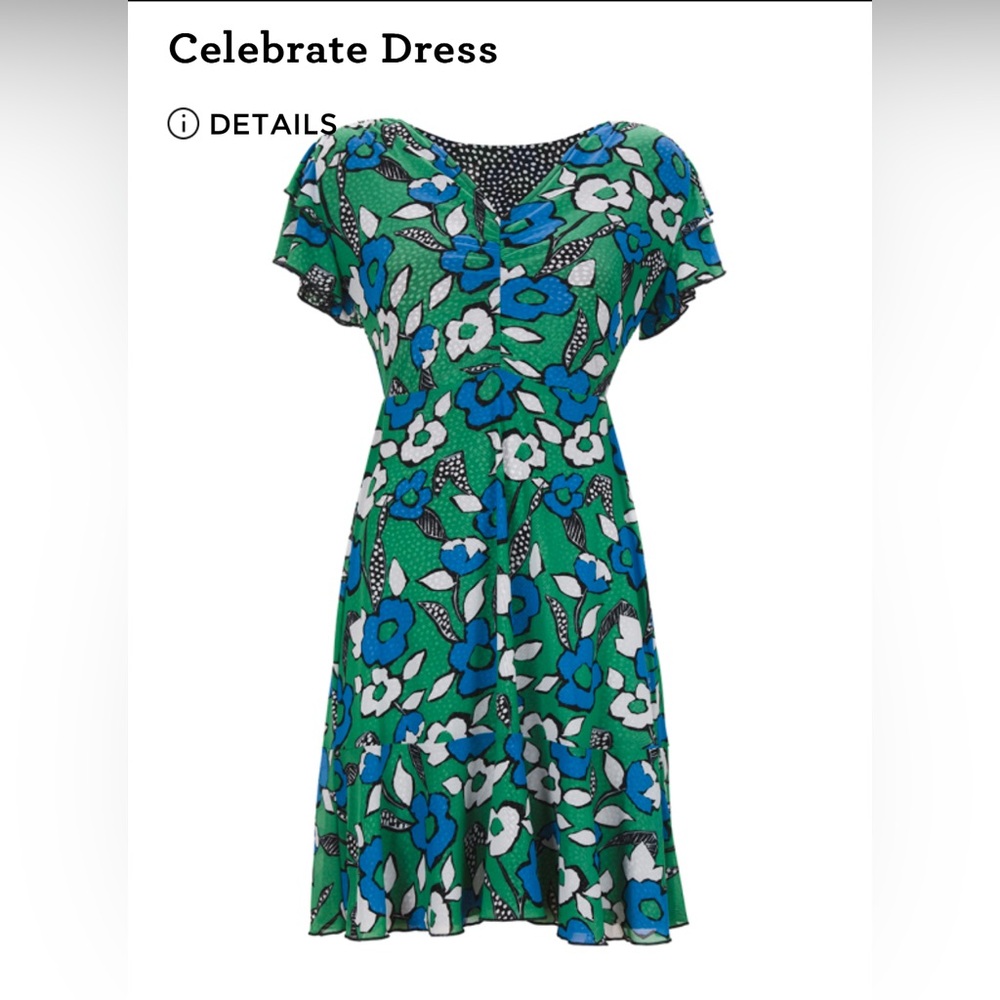 Cabi Celebrate reversible mesh dress. Size Small